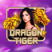 Dragon Tiger bingoplus app live casino