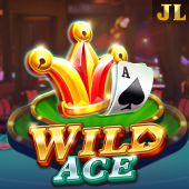 Wild Ace on bingoplus app
